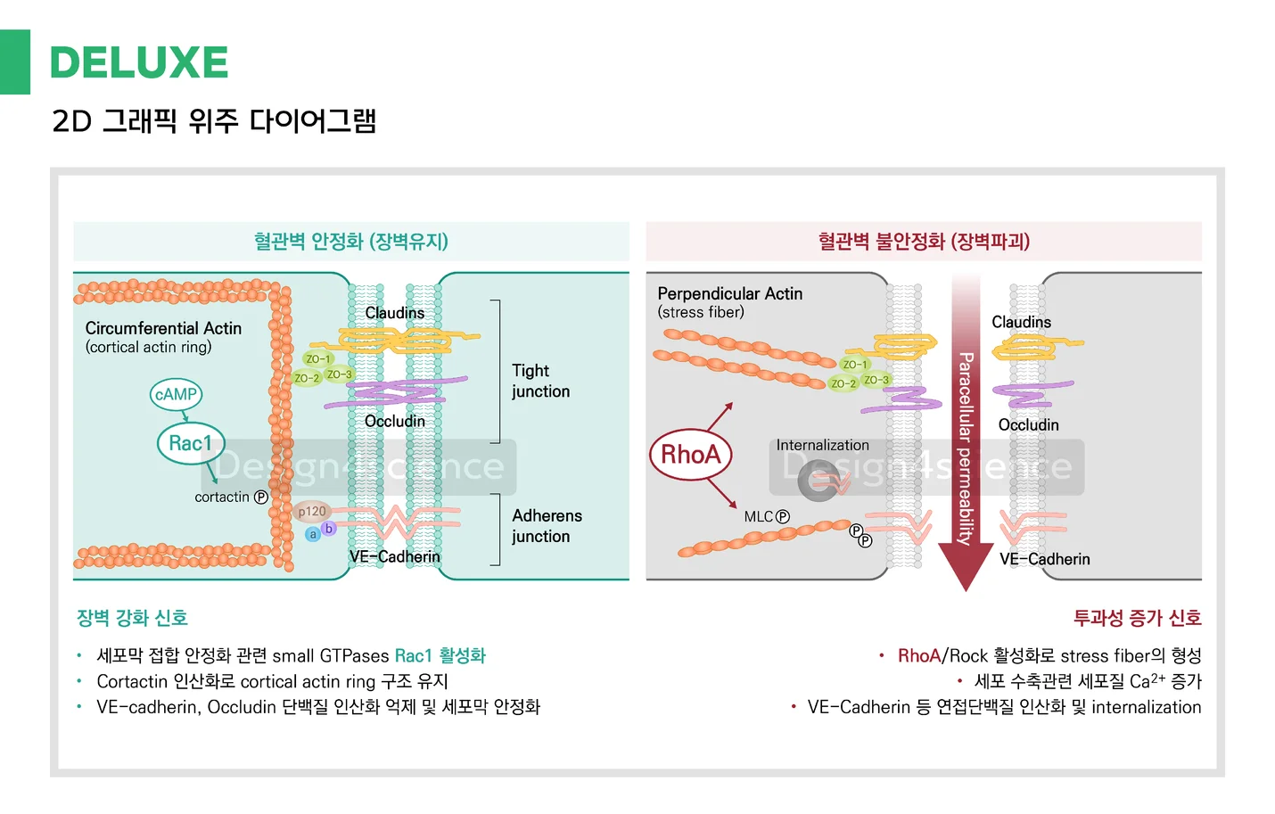 상세이미지-1