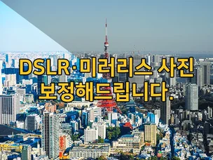 포트폴리오