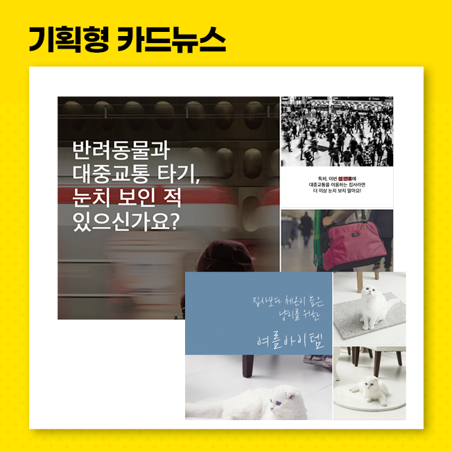 상세이미지-4