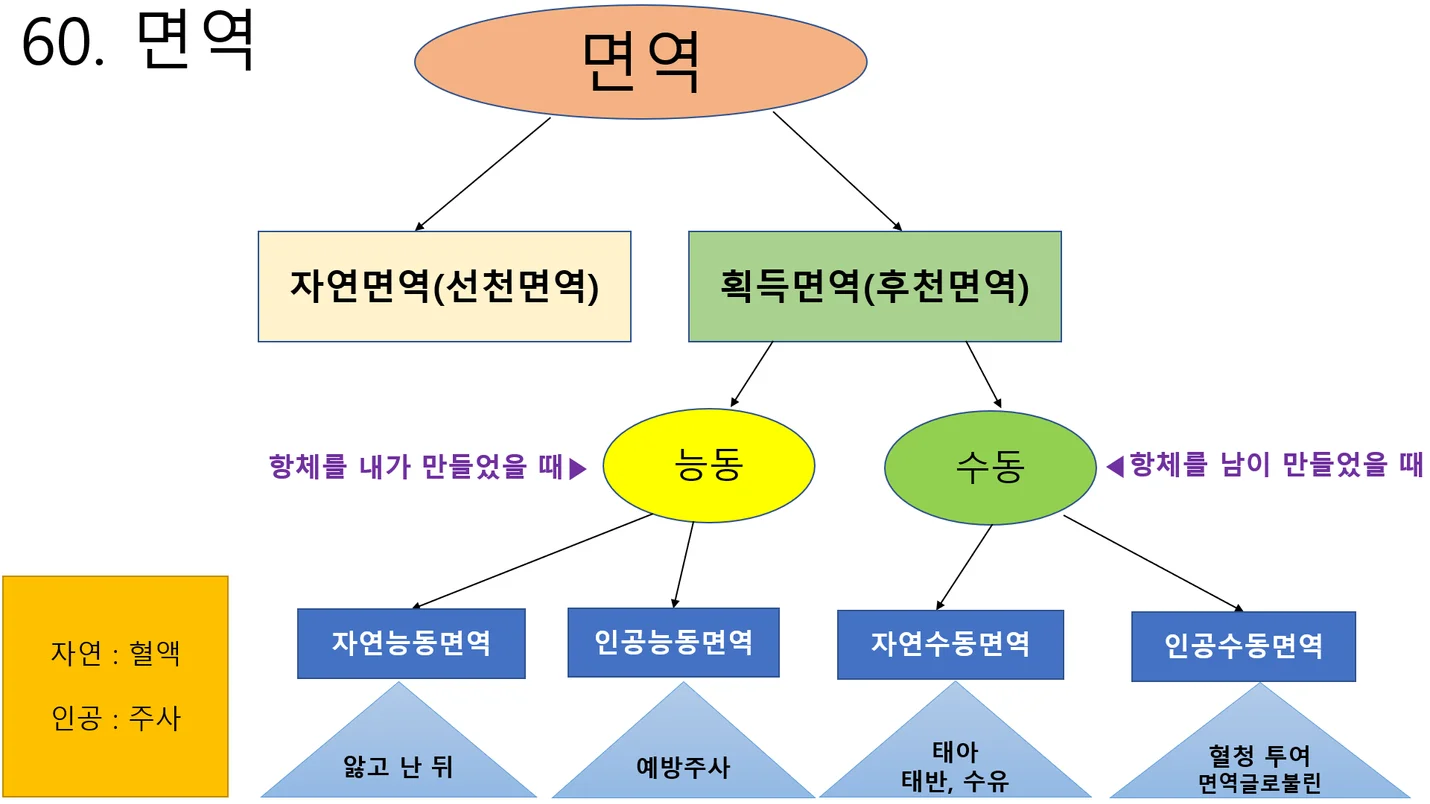 상세이미지-5