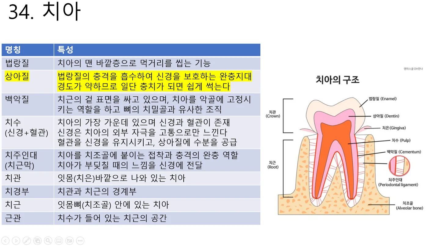 상세이미지-2