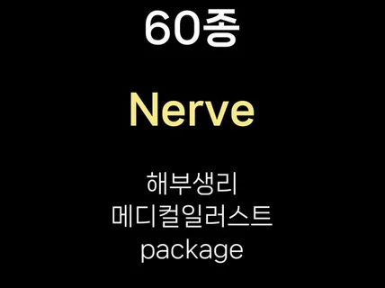 60종 신경 해부생리 메디컬일러스트 패키지