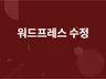워드프레스 테마플러그인 수정 및 오류 해결해 드립니다.