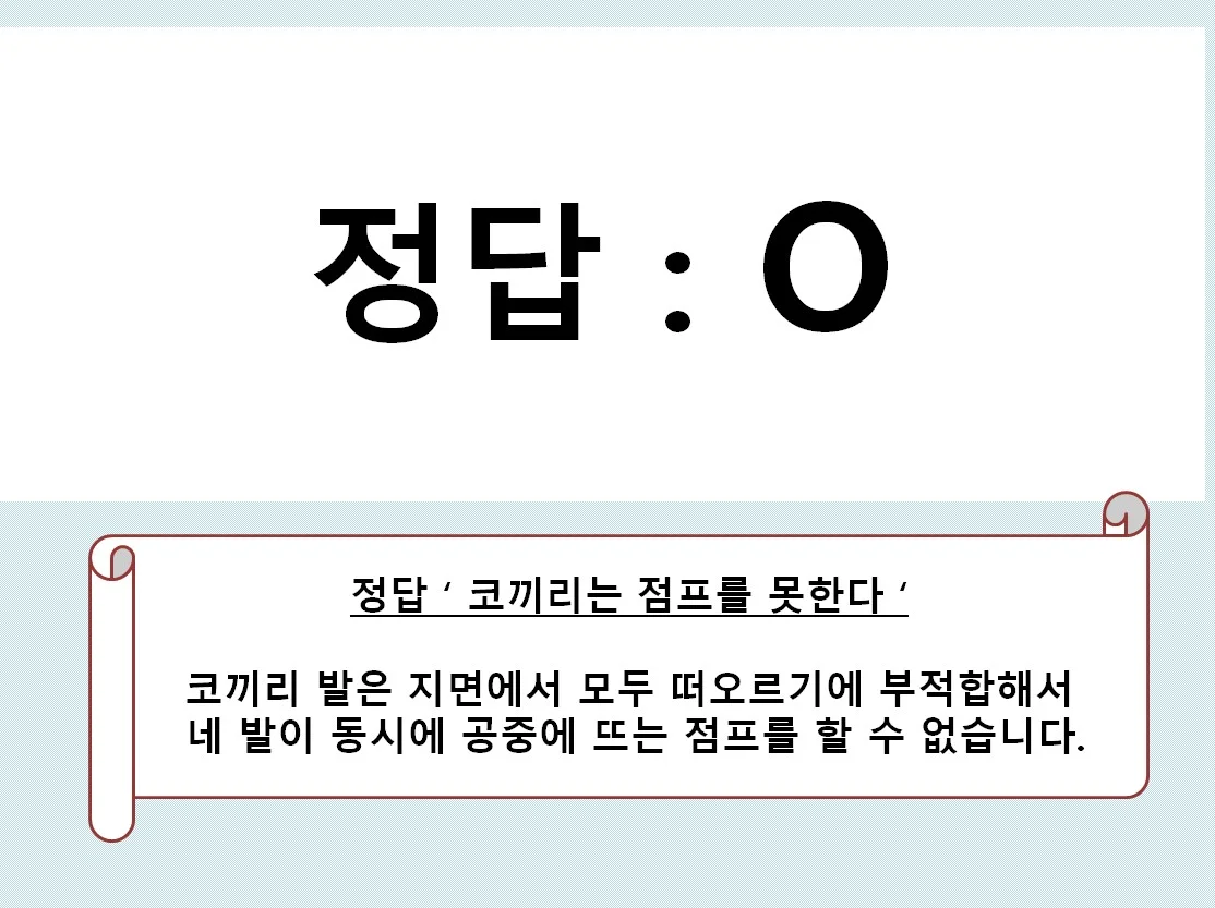 상세이미지-2