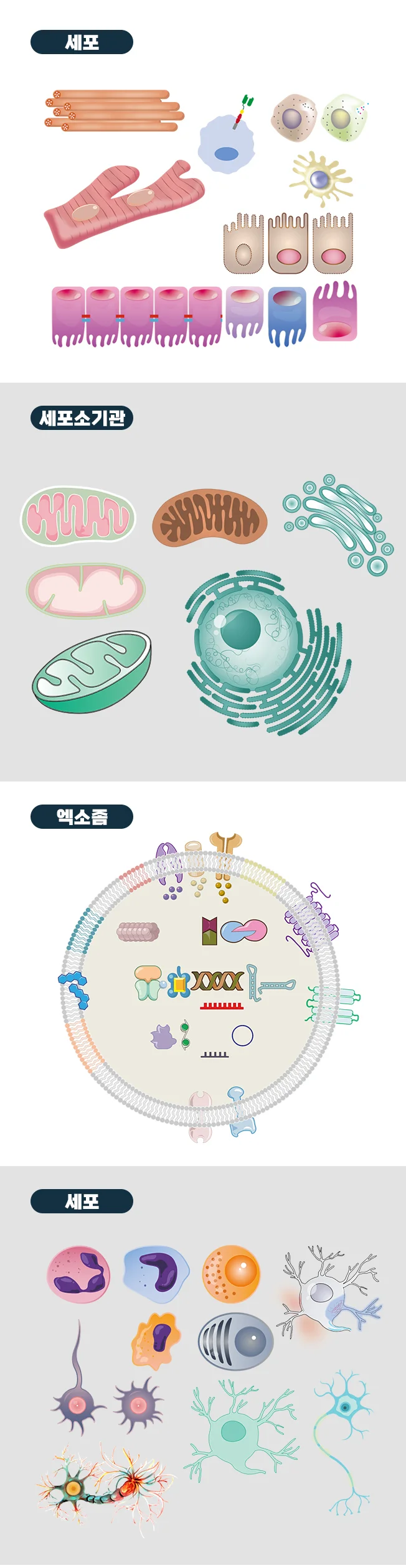 상세이미지-1