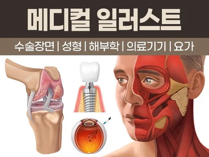 병원 수술삽화/성형/인체/메디컬 일러스트 작업합니다.