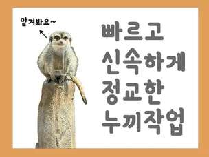 포트폴리오