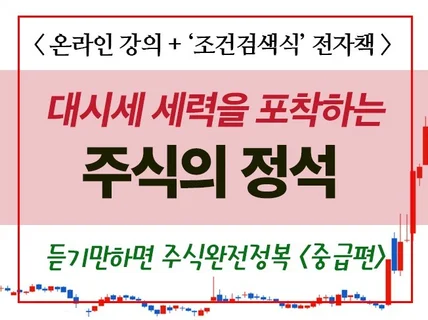 '대시세 세력을 포착하는 주식의 정석' 온라인 강의를 드립니다.