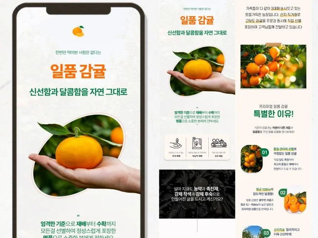 메인 이미지