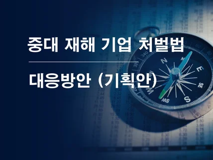 중대 재해기업 처벌법 대응방안기획안 드립니다.