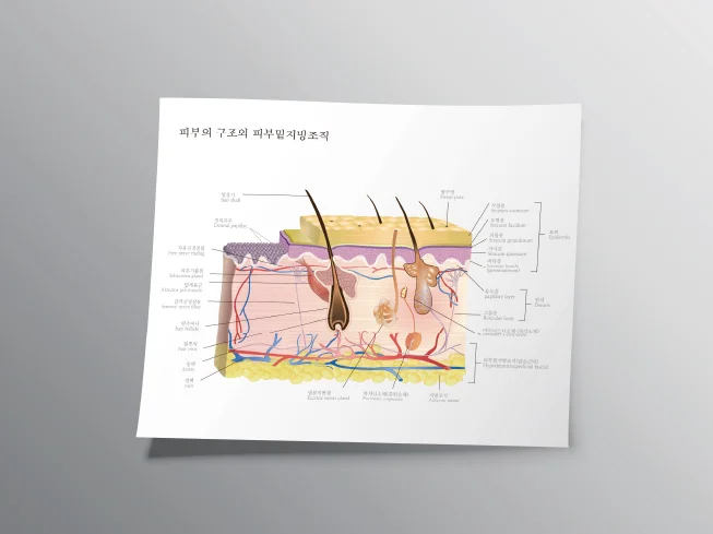 상세이미지-2