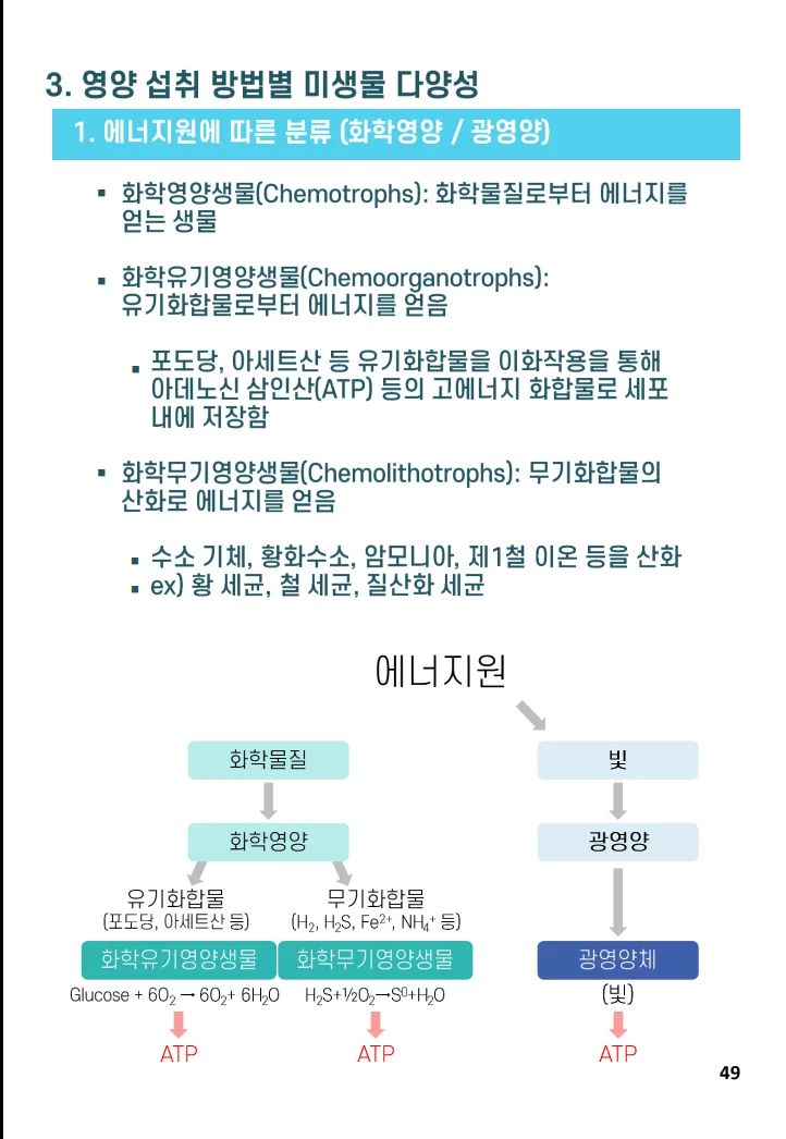 상세이미지-7