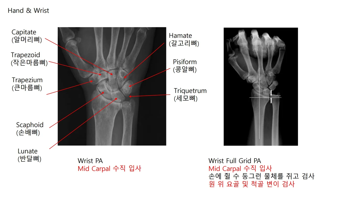 상세이미지-0