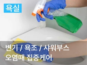 포트폴리오