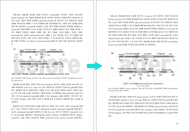 상세이미지-1