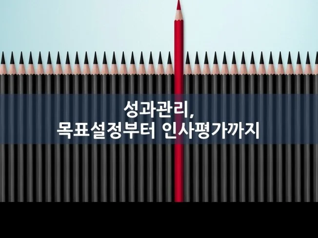메인 이미지