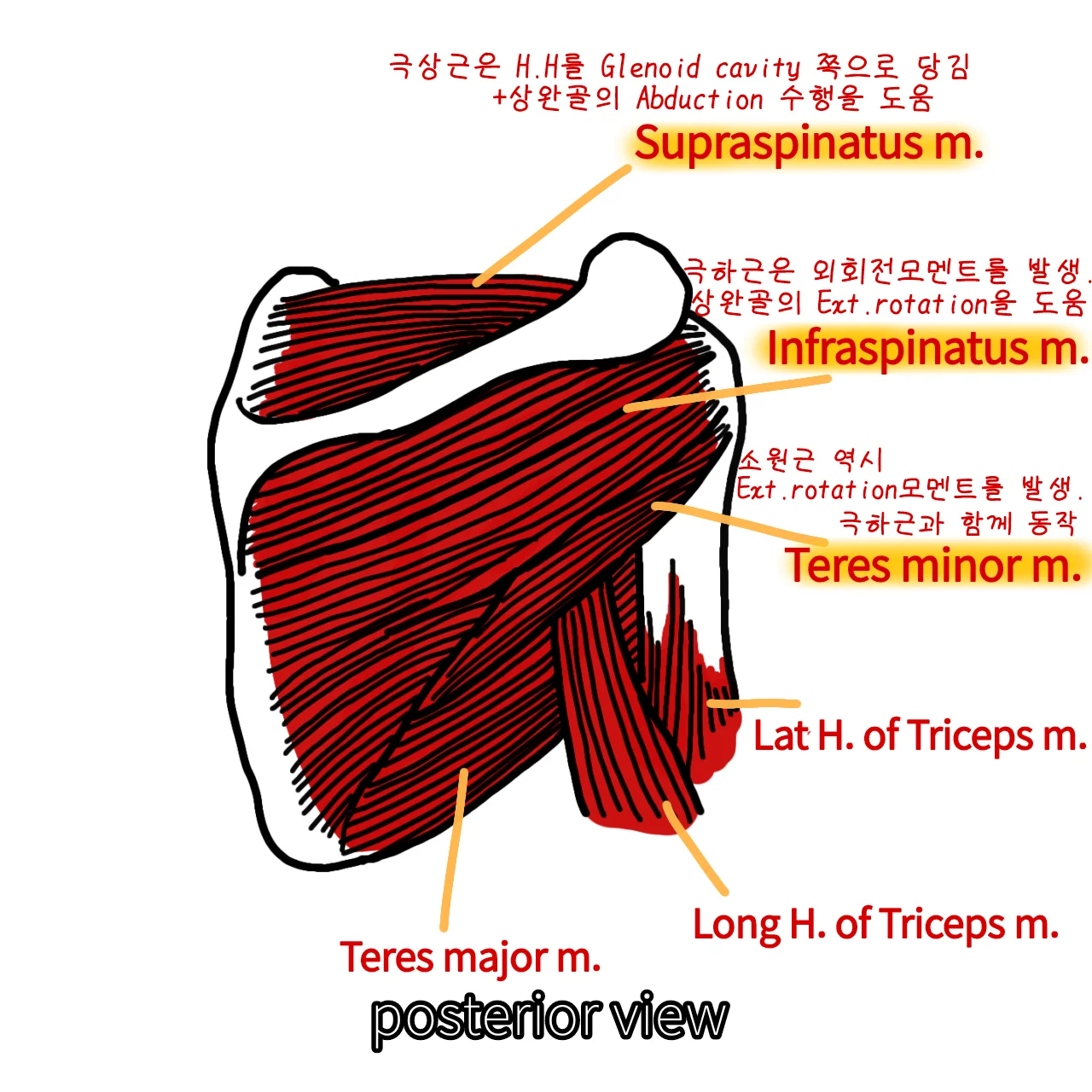 상세이미지-0