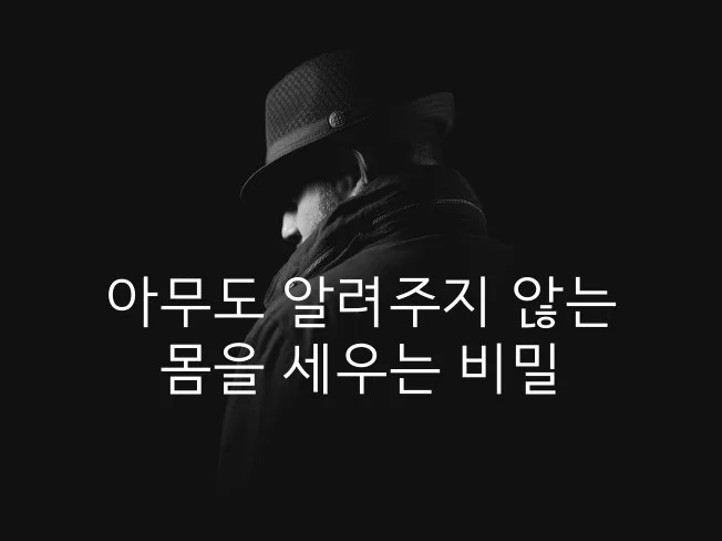 메인 이미지