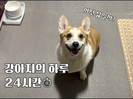 포토샵 누끼 따드리고 일러스트 그림 만들어드려요