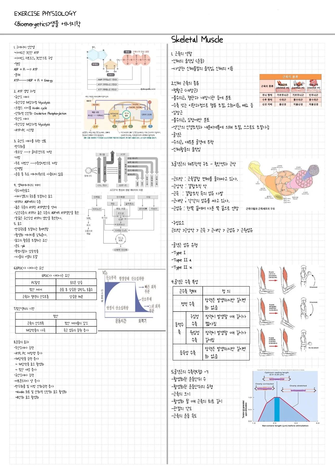 상세이미지-2