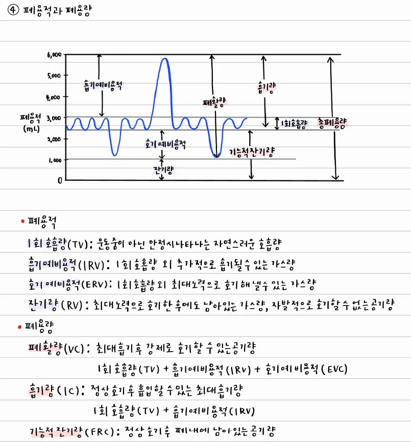 상세이미지-5