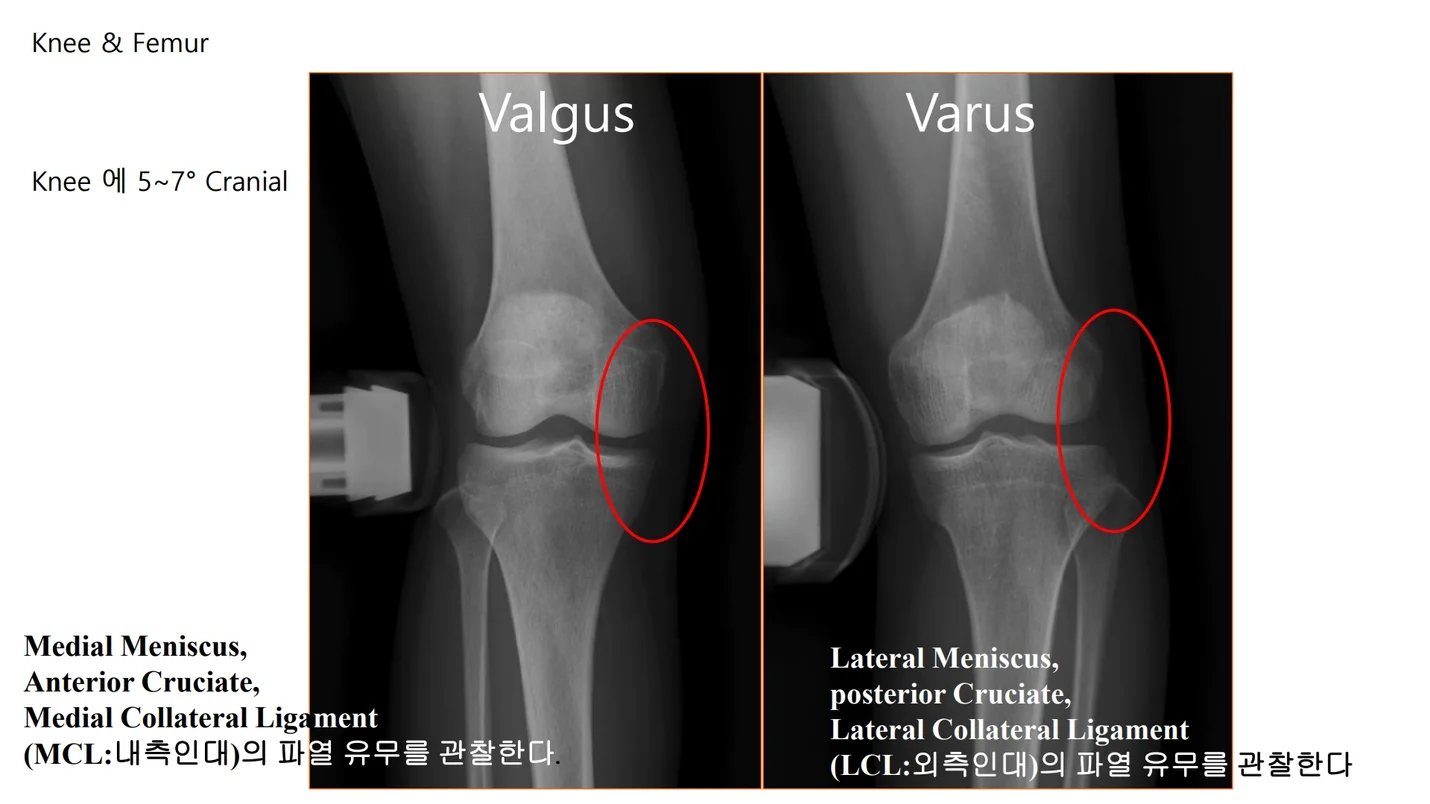 상세이미지-4