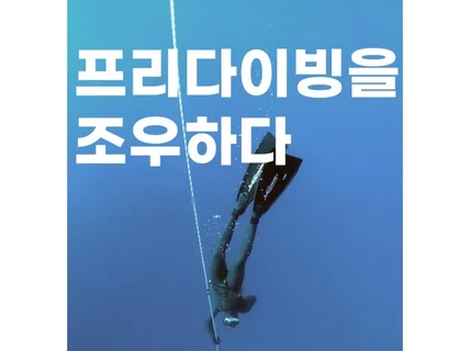 프리다이빙을 조우하다 AIDA 교육 / 강릉 속초 동해