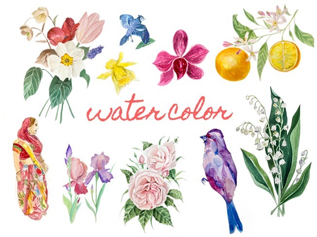 아름다운 색감 수채화 일러스트, 꽃, 과일 삽화 그려 드립니다.