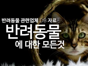 포트폴리오