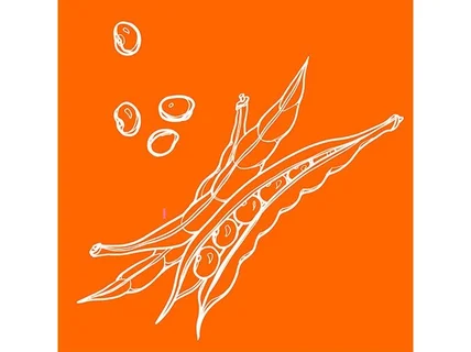 인쇄물 및 패키지 일러스트 작업