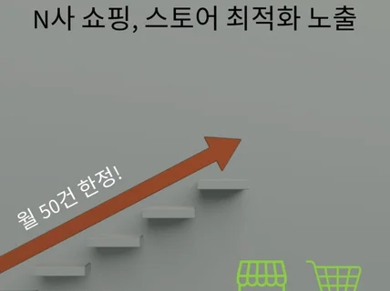 N사 쇼핑 스토어 최적화 노출 트래픽