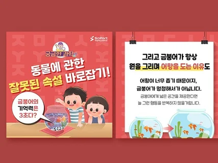 인스타 페이스북 SNS 카드뉴스 디자인 제작