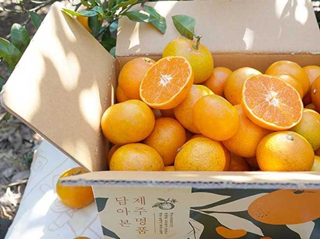 연관서비스