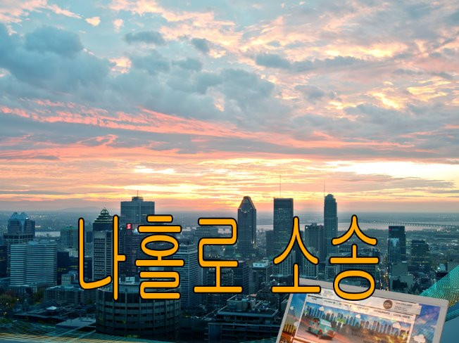 나홀로 소송 등을 컨설팅 해 드립니다  크몽 - 당신의 비즈니스를 도와드립니다  나홀로 소송 등을 컨설팅 해 드립니다 