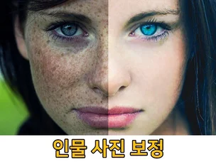 포트폴리오