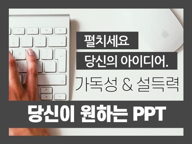 포트폴리오