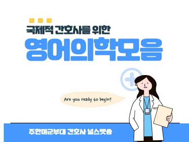 메인 이미지