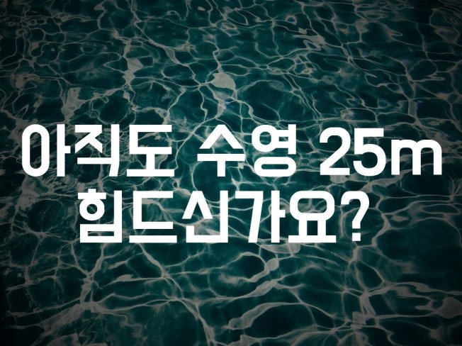 수영 부산 - 크몽 서비스 검색