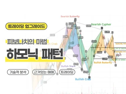 주식 코인 해외선물 하모닉 패턴 차트분석 실전 노하우