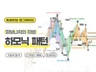 코인 하모닉 패턴 차트분석 실전 노하우