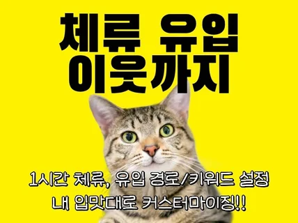 블로그 방문자 조회수 이웃 체류시간 트래픽 검색 관리