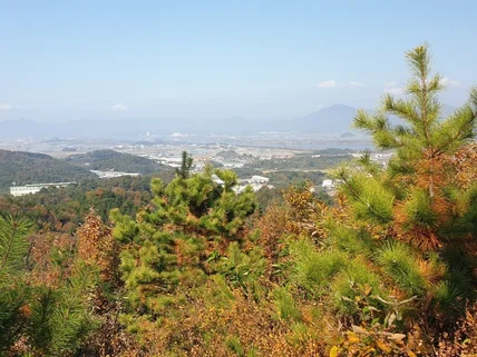 김해시 봉하마을 봉화산 산책로 동행 서비스