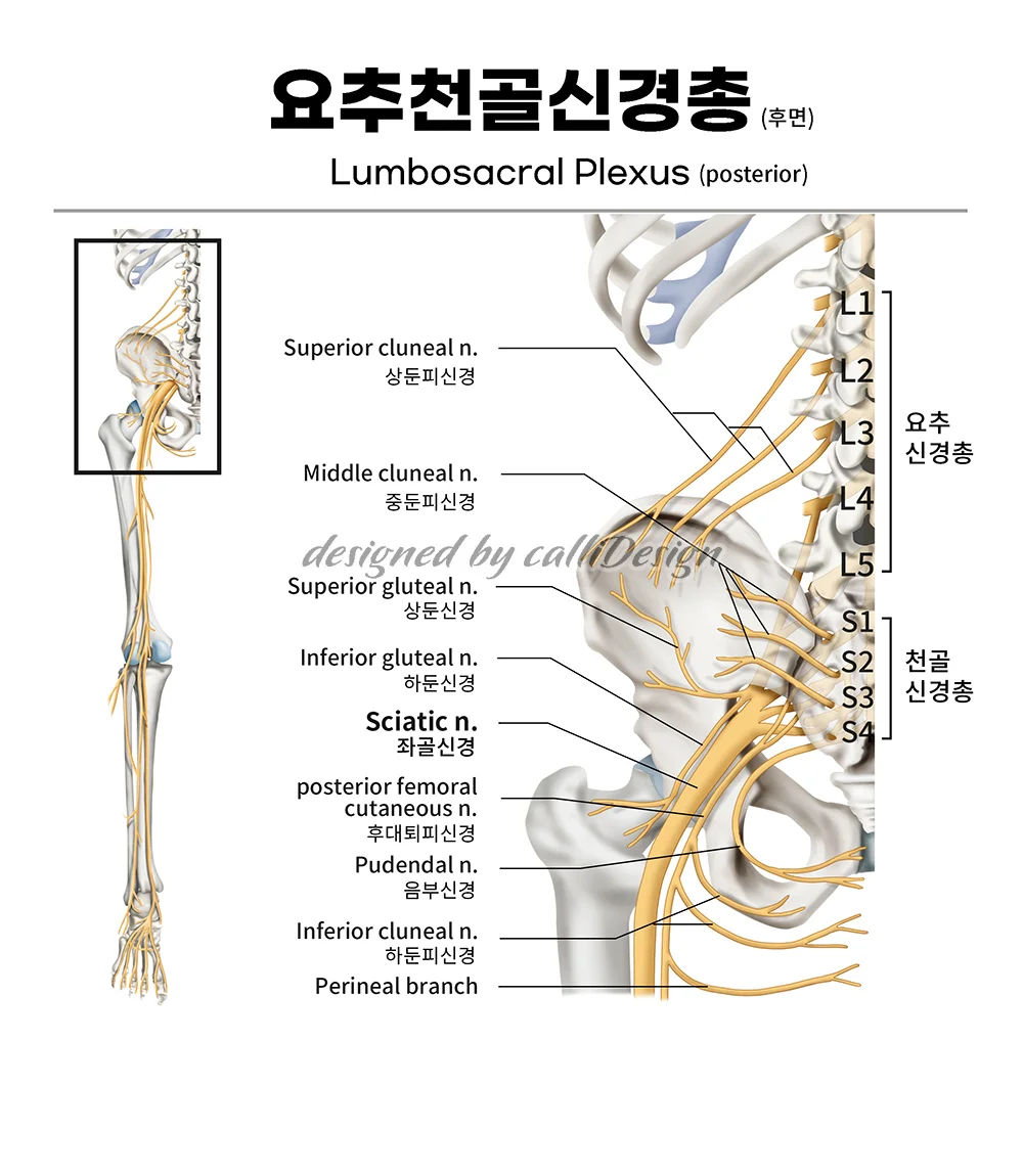 상세이미지-2