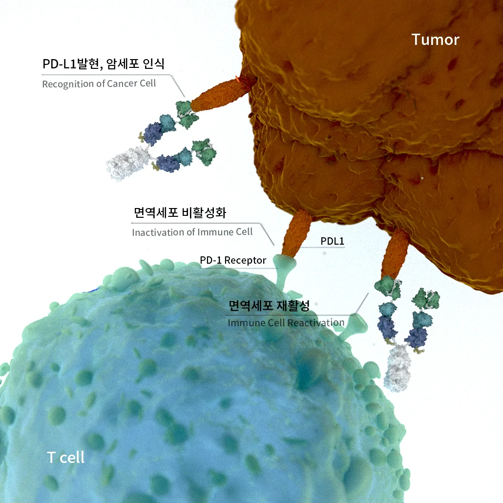 상세이미지-1