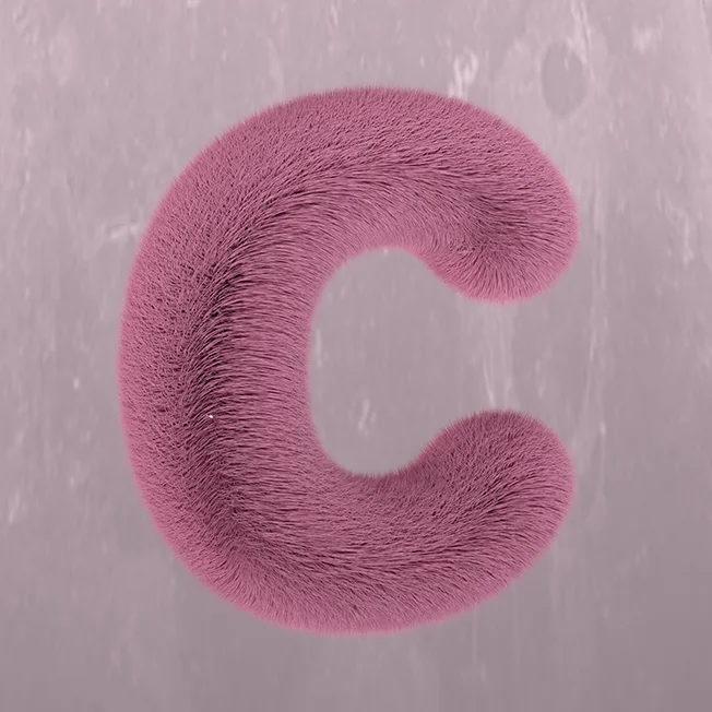 상세이미지-5