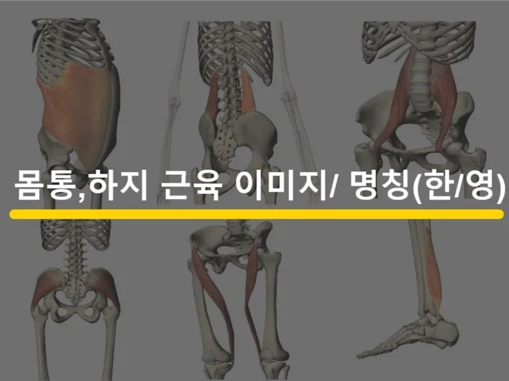 메인 이미지