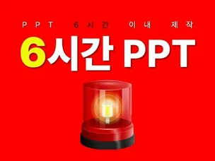 포트폴리오