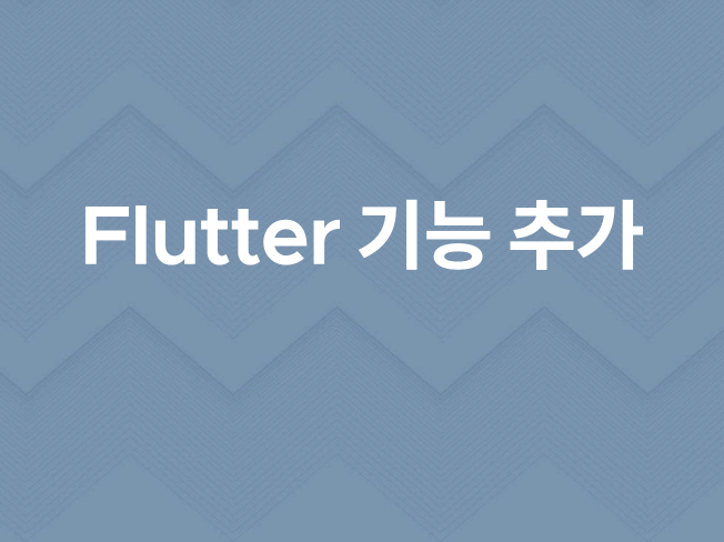 flutter 기능 추가,수정,유지보수
