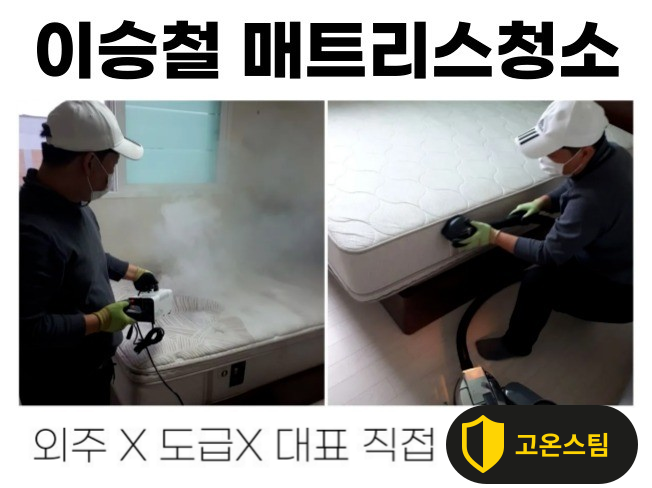 서울 침대 매트리스청소 대표가 직접 합니다 +빈대 퇴치