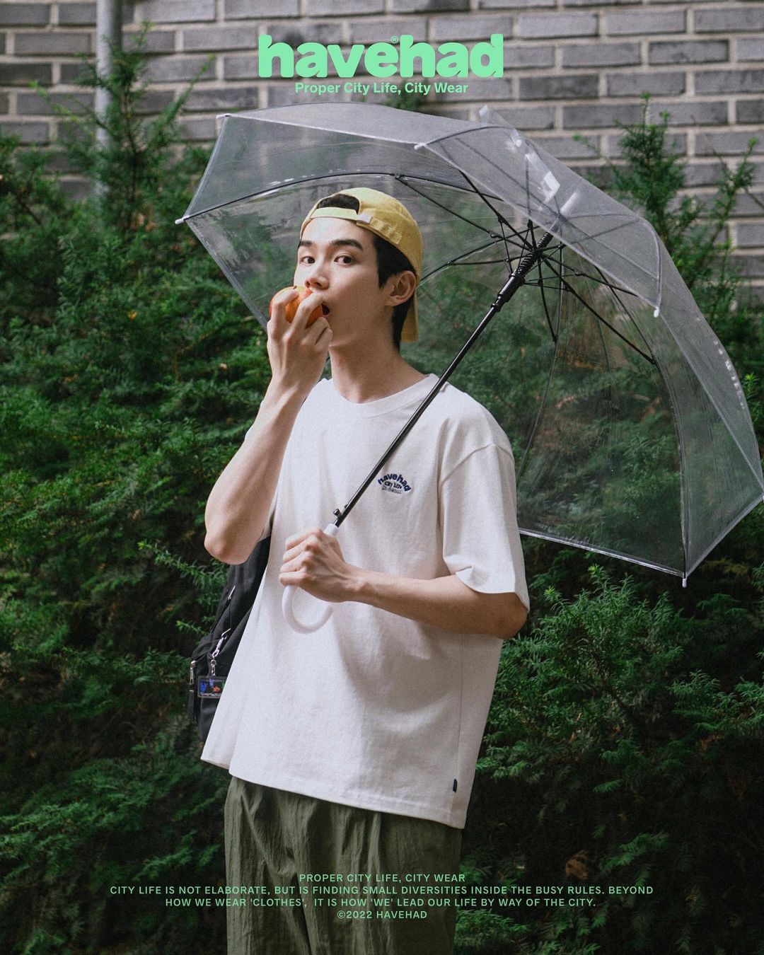 상세이미지-5